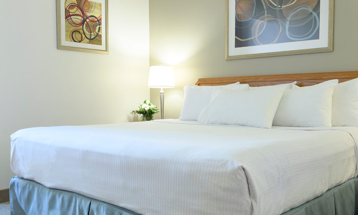 Premium Suite Feature Image