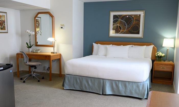 Superior Studio King Room