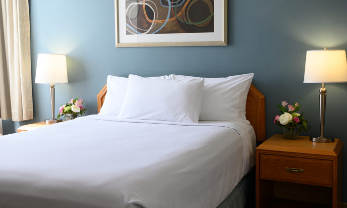 NAV Centre Deluxe Room